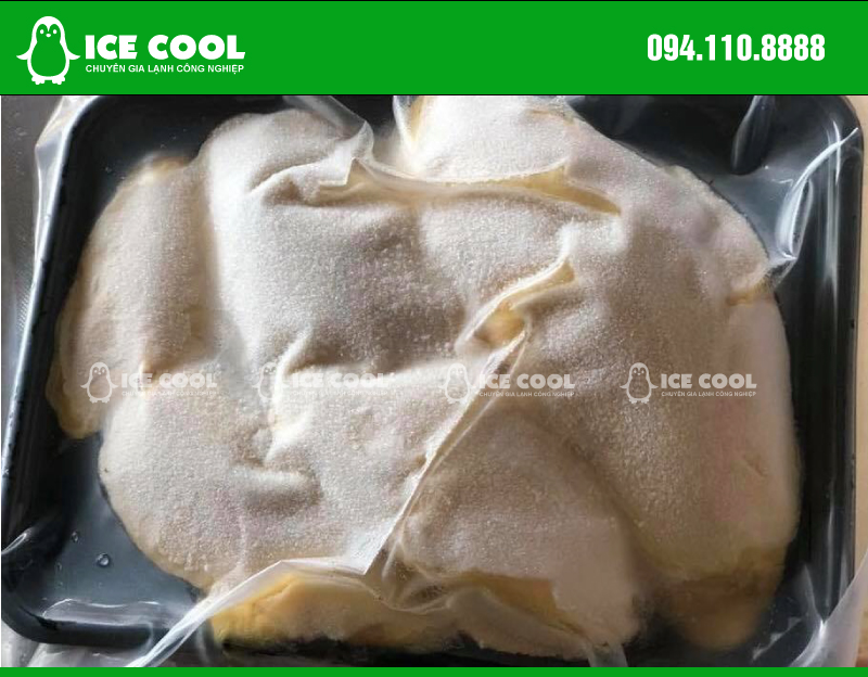 Cấp đông nhanh giá rẻ