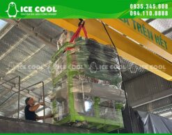 Vận chuyển máy đá viên 1 tấn đến Ninh Thuận