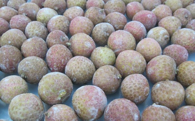 Vải thiều cấp đông nhanh