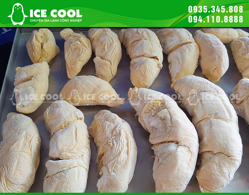Sầu riêng cấp đông bằn máy cấp đông nhanh