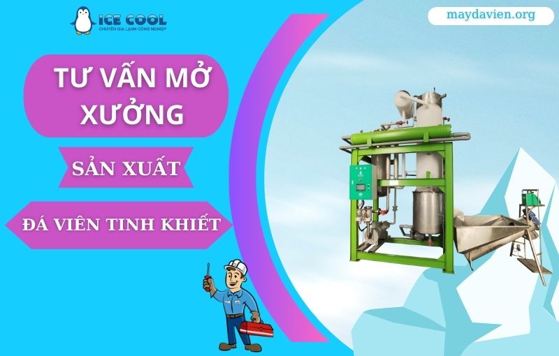 tư vấn mở xưởng đá viên tinh khiết