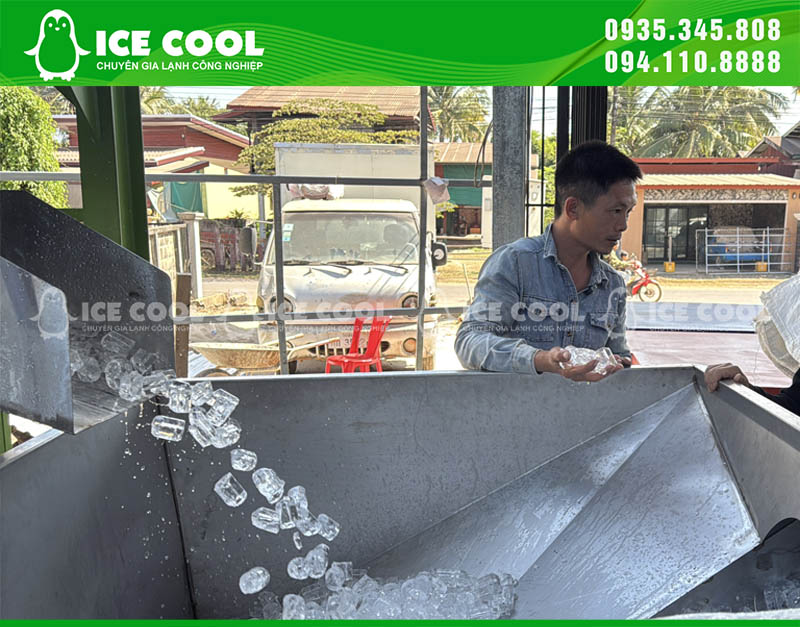 Đá viên trong suất, tin khiết