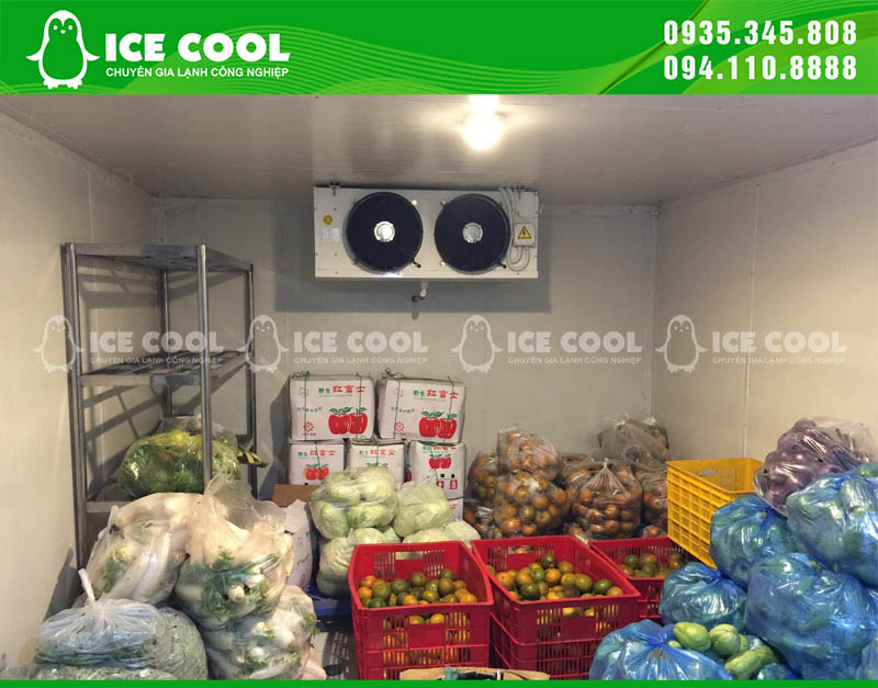 Thi công kho lạnh thực phẩm với đội ngũ kỹ thuật viên ICE COOL chuyên nghiệp