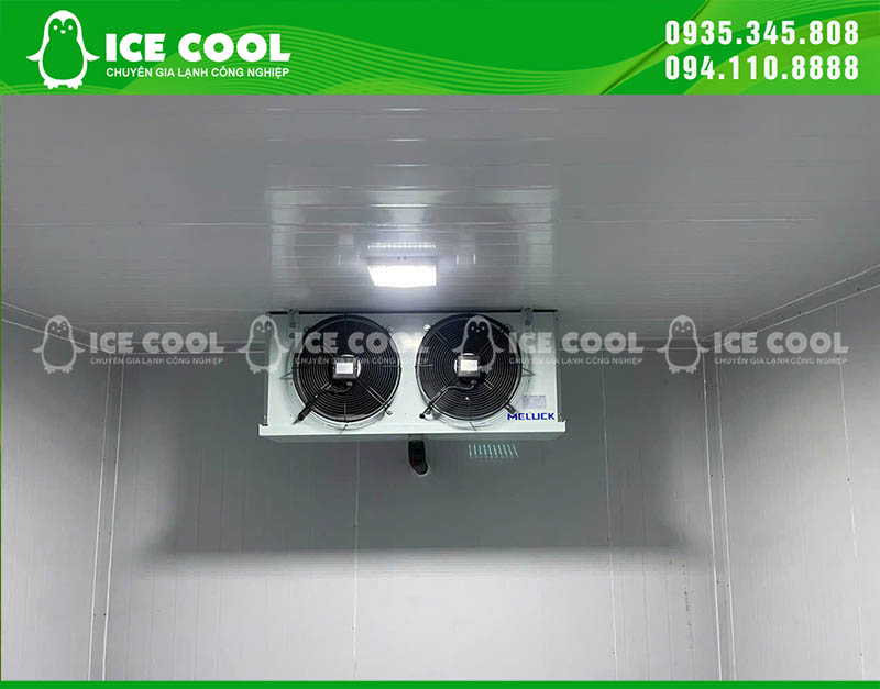 Cân đối sản lượng hằng ngày và lịch giao hàng để xác định nhu cầu bảo quản đá viên.