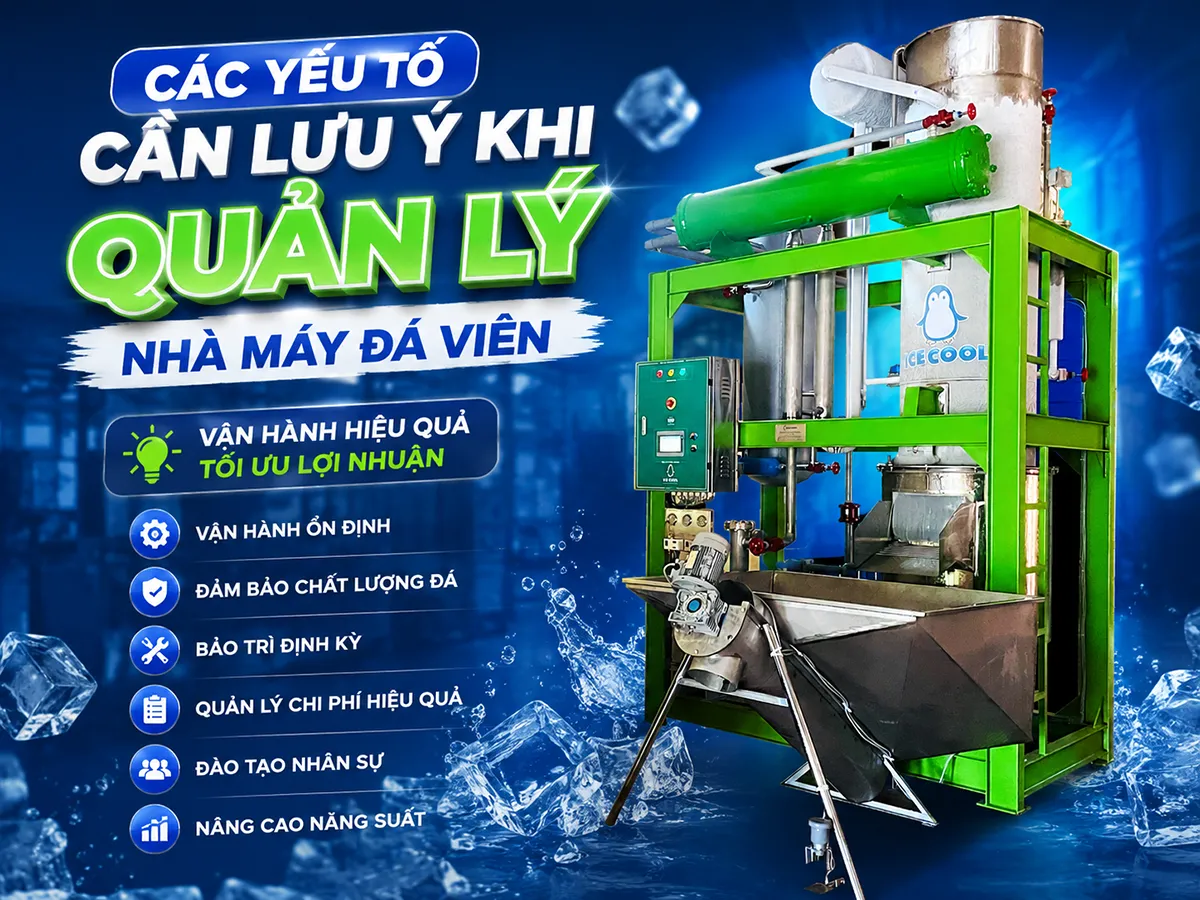 Các yếu tố cần lưu ý khi quản lý nhà máy đá viên bao gồm kiểm soát chi phí vận hành, đảm bảo chất lượng đá, duy trì thiết bị ổn định và xây dựng quy trình vận hành hiệu quả